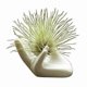 thumbnail image 1 of Air Plant Holder Ceramic Holder, 1 of 5