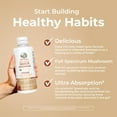 thumbnail image 2 of MaryRuth Organics Organic Cordyceps Mushroom Liposomal Maple Spice Flavor Vegan Dairy-Free Gluten-Free 7.6 fl oz, 2 of 9
