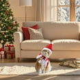 thumbnail image 4 of Pet Clothes Festive Cape With Matching Hat Holiday For Cats and Dogs, 4 of 5