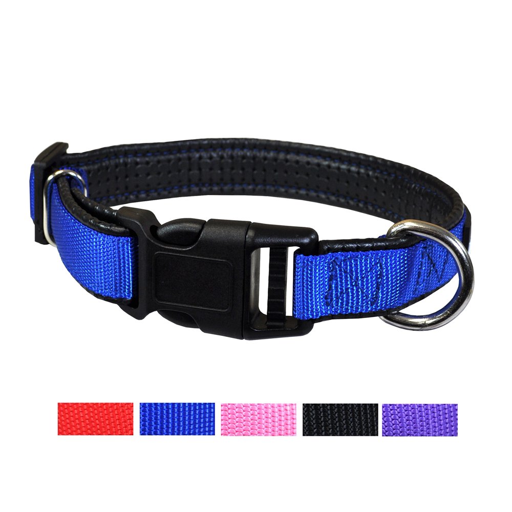 Best Plastic Quick Release Dog and Puppy Collar