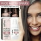 thumbnail image 2 of 3X Zephta H-Regrow 2.0, Zephta Hair Regrowth, Prorevita Rice Nutri Spray, for Hair, 2 of 5