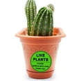 thumbnail image 3 of Live Plants Handle with Love Stickers 2 Inch Green Fragile Handling Shipping Labels 250 pcs, 3 of 4