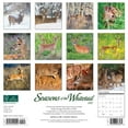 thumbnail image 2 of Deer Whitetail Seasons 2022 Wall Calendar, 2 of 3