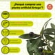 thumbnail image 4 of Planta artificial decorativa Artego Olivo grande 180cm para hogar sala comercio oficina, 4 of 8