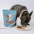 thumbnail image 6 of Dexypaws: Peanut Butter & Blueberry Dog Biscuits - 12oz Bag, Pet Treats, Natural Simple Ingredients, Snack-Training-Reward, Protein & Antioxidant Rich, 6 of 9