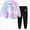 Light Purple 0726, variant on Toddler Baby Girls Winter Clothing Sets 2T 3T 4T 5T 6T 7T 8T Girl Clothes Long Sleeve Toddler Girls Clothes Tie-Dye Hoodie and Girls Leggings 2 Piece Fall Outfits Blue Size 3-4 Years