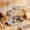 🔥 Gray_New, variant on onlyliua 2-In-1 Automatic Hamster Feeder And Waterer Standing No-Drip Bottle With Food Bowl Refillable Combo For Small Pets Easy-To-Use Reliable Water Dispensing System Ideal For Hamsters Gerbils