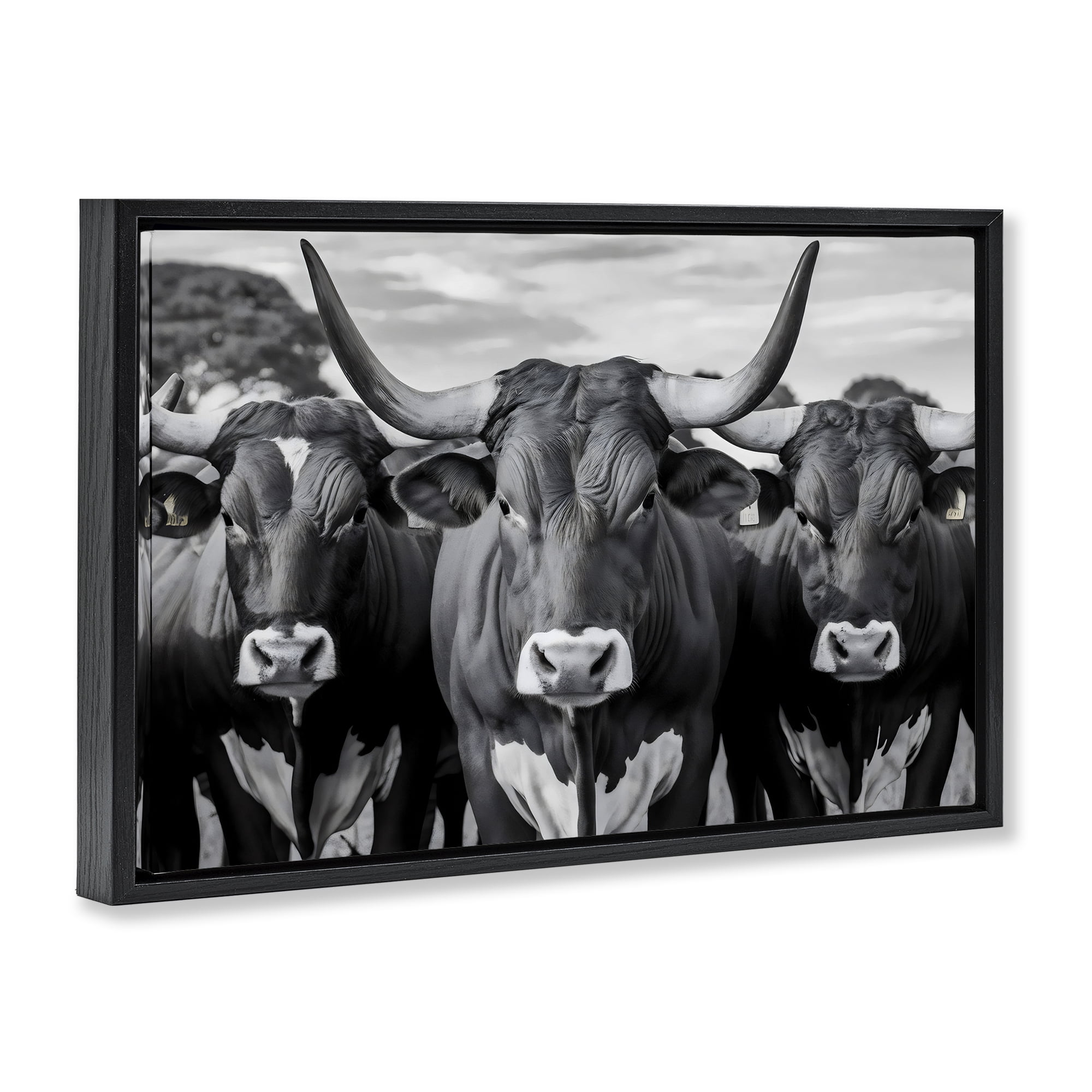 Stupell Industries Three Longhorns in a Row Black Framed Floater Canvas Wall Art, design by Creative Studio