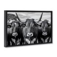 thumbnail image 2 of Stupell Industries Traditional Three Longhorns in a Row Black Floating Frame Canvas Art, 25 x 17, by Creative Studio, 2 of 8