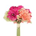 thumbnail image 1 of Paquet de Dahlia de Pavot de 10 Po - Rose et 44 ; Orange et Vert, 1 of 1