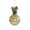Squirrels: Yellow, variant on Kezqiaxn Christmas Tree Ornaments, Squirrels Christmas Ornaments Ball, Shatterproof Christmas Ball Hanging Ornaments for Xmas Tree Decorations and Thanksgiving Party Decor Yellow