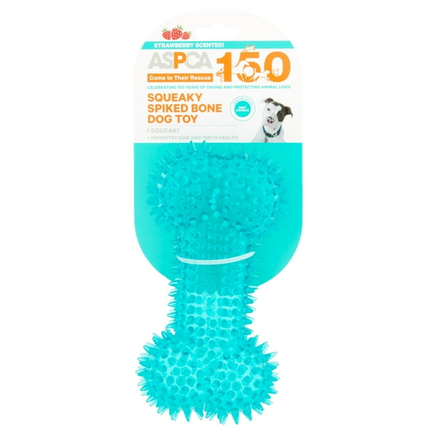 ASPCA Squeaky Spiked Bone Dog Toy, Large, Blue
