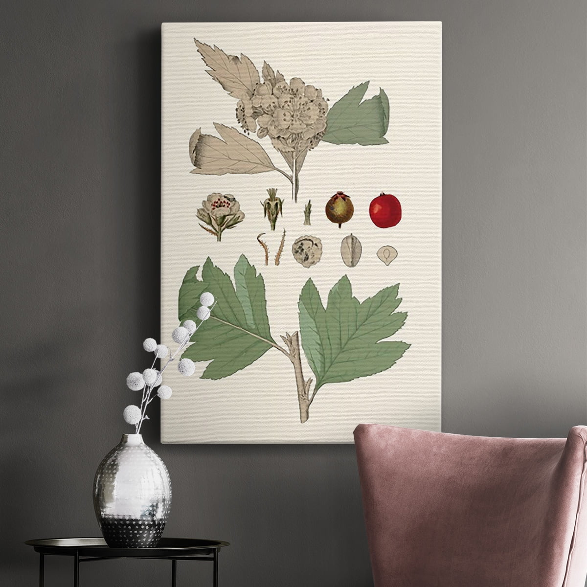 Leaves & Berries IV Premium Gallery Wrapped Canvas - Ready to Hang