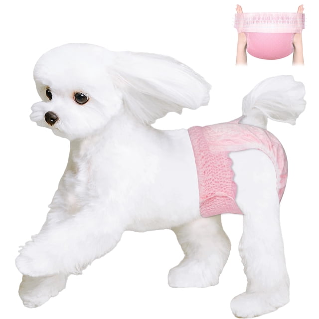 Pañales desechables para perros Ambreview para mujer S, 10 unidades