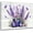 Purple, variant on Purple Floral Wall Art for Living Room,Lavender and Butterfly in Vase on Farmhouse Wood Canvas Wall Art Country Flower Plant Framed Wall Art for Bedroom Bathroom Home Wall Decor,12L X 16W inches