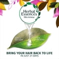 thumbnail image 7 of Herbal Essences Bio:renew Vitamin E with Cocoa Butter Conditioner, 13.5 Fl Oz, 7 of 7