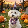 thumbnail image 4 of Aoznliie Dog Bandana, Halloween Hat & Scarf Set for Cats Small Dogs, 18x26 inch Pet Costume for Porch Geese, Purple, 4 of 7