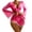 Hot Pink, variant on Aayomet High Waisted Swimsuits For Women 2023 Women's Split Swimsuit Solid Tassels Elegant Bikini Suit Swimsuit Four Piece Set,Pink S