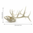thumbnail image 2 of 3D Printed Skull Sculpture with Antlers, Detailed Resin Model for Home Office Decor and Gothic Halloween Decor, Unique Desk Accent for Halloween Gifts, 1 Piece, 2 of 5