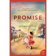 Promise (Paperback)