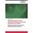 thumbnail image 1 of Determinaci N de Los Cambios Hist Ricos del USO del Suelo En Tandil, 1 of 2