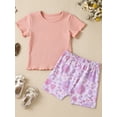 thumbnail image 2 of Toddler Baby Girl Summer Outfit 6M 12M 18M 24M 3Y 4Y  Waffle Solid T-Shirt Top Floral Short Set Cute Summer Clothes, 2 of 9