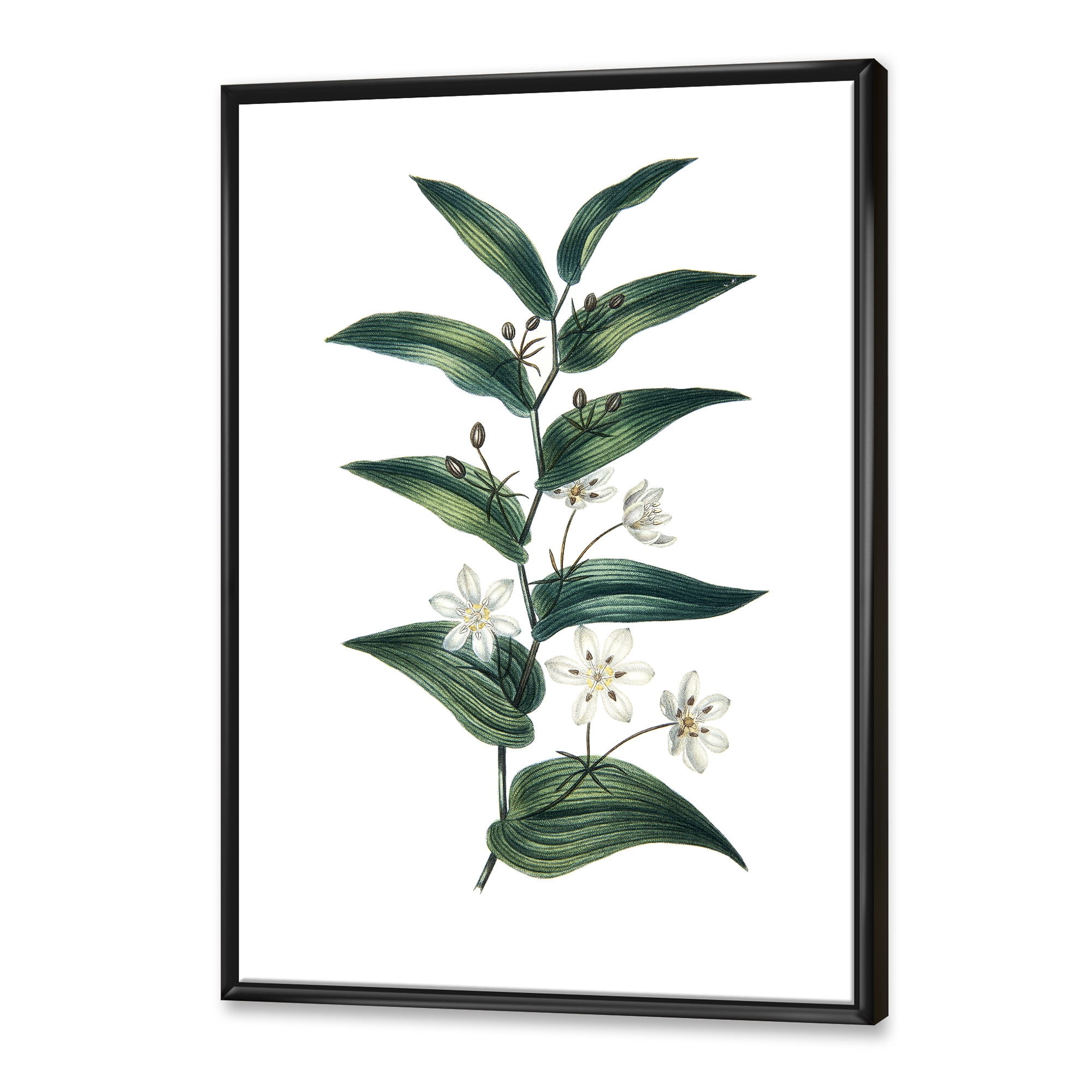 Designart 'Little White Flowers With Ancient Plant' Farmhouse Framed Canvas Wall Art Print