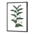 thumbnail image 3 of Designart 'Little White Flowers With Ancient Plant' Farmhouse Framed Canvas Wall Art Print, 3 of 5