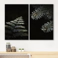 thumbnail image 3 of IDEA4WALL Adhesive Canvas Print Wall Art Set Duotone Forest Fern Plant Photography Art Decorative Bohemian Nature Floral Botanical Artwork for Living Room, Bedroom, Office - Canvas 16"x24"x2, 3 of 5