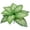 E, variant on Artificial Wide Leaf Greenery Plants, Faux Green Leaf Plants and Bushes for Indoor and Outdoor Wall Decor, Home, Garden, Wedding Arch, and Home Office Decoration