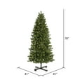 thumbnail image 3 of Vickerman 6.5' Grand Teton Slim Artificial Christmas Tree,  Single Mold Warm White LED Lights, 3 of 4