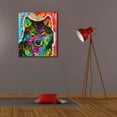 thumbnail image 6 of Epic Graffiti 'Wolf 3' by Dean Russo, Canvas Wall Art, 26"x30", 6 of 8