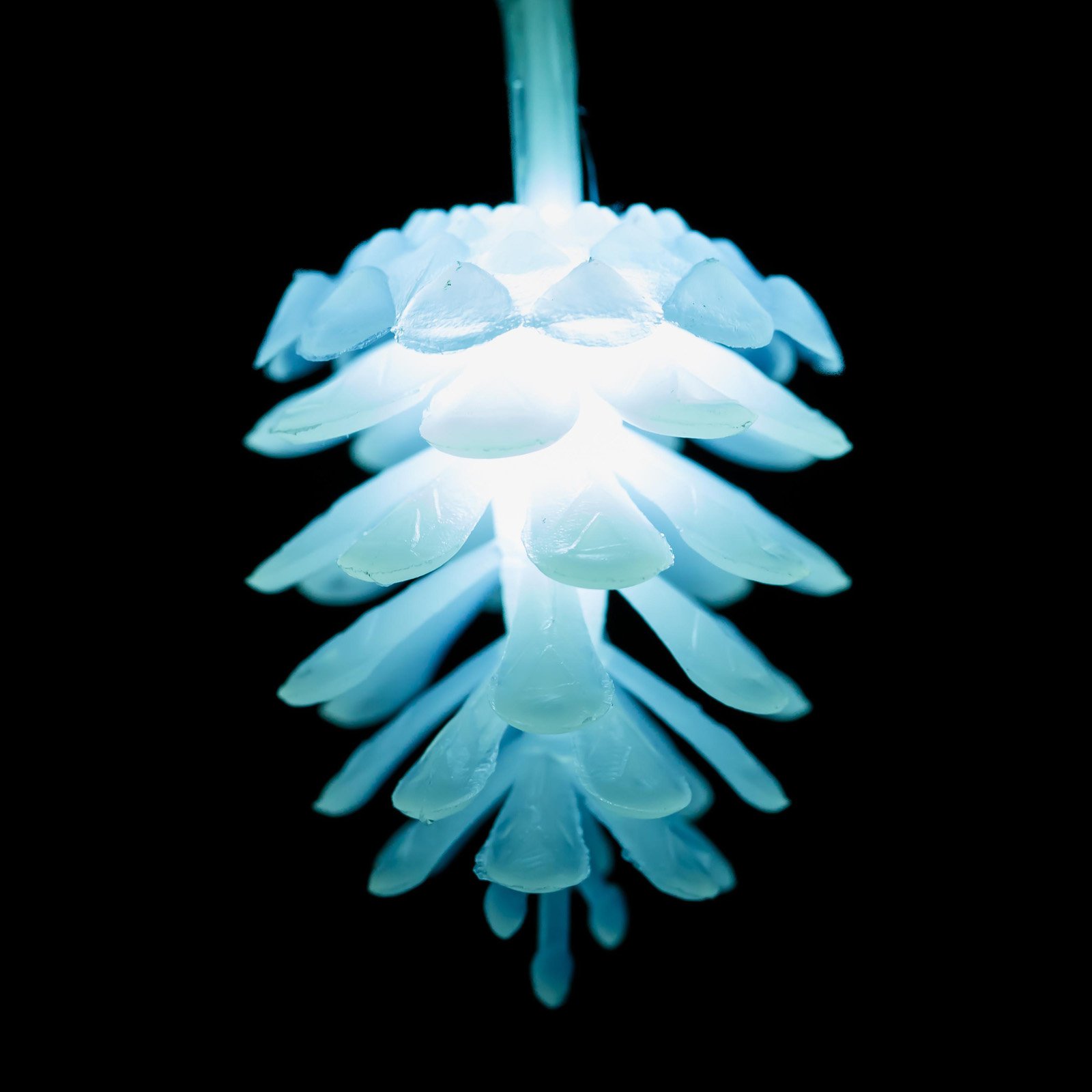 Evergreen Enterprises LED Indoor/Outdoor Pine Cone String Lights