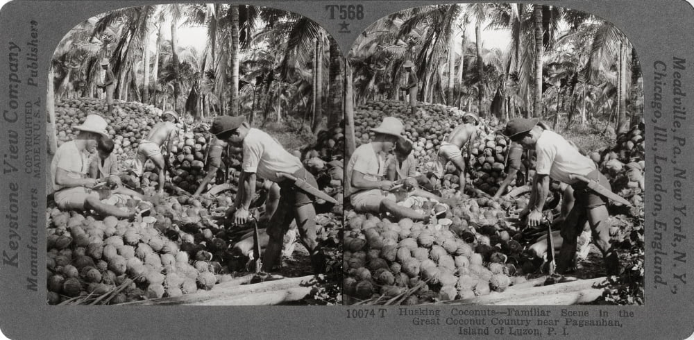 Philippines Coconuts NHusking Coconuts - Familiar Scene In The Great ...