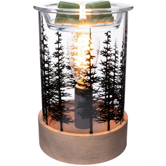 ScentSationals Edison Warmer - Fir Grove, Edison Warmer 40 Watt Bulb