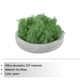 thumbnail image 3 of Uxcell 0.35 OZ Musgo Falso Musgo Artificial Musgo Natural Conservado para Proyectos de Artesanía Floral DIY (Verde), 3 of 7
