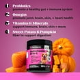 thumbnail image 3 of Pet Honesty Dog, 10 in 1 Multivitamin Mobility Immune Skin Coat Support Supplement w Glucosamine Probiotics and Omegas, Chicken Flavor, 90 Count Soft Chews, 3 of 8