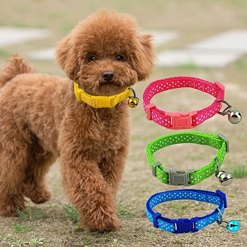 Small Dogs Cats Collars Pet Accessories 1 Pcs Cute Cat Dog Collar Neck –  Curls by Nya