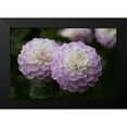 thumbnail image 2 of Crane, Rita 18x13 Black Modern Framed Museum Art Print Titled - Lavender Dahlia IX, 2 of 5