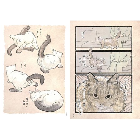 「新品　玄光社」うぐいす歌子の御ねこ日記 うぐいす歌子