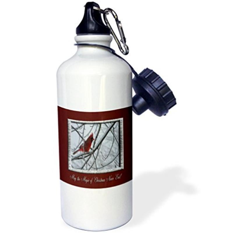 3dRose Winter Cardinal, May the Magic of Christmas Never End, Sports Water Bottle, 21oz by Supplier Generic