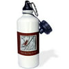 3dRose Winter Cardinal, May the Magic of Christmas Never End, Sports Water Bottle, 21oz