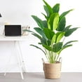 thumbnail image 4 of 1pc Artificial Plants Large Tropical Palm Tree Fake Banana Plants Leaves Real Touch Plastic Monstera For Home Garden Party Decor, 4 of 6