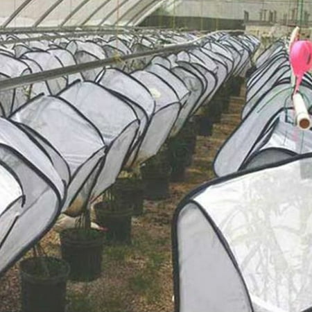 

Erthree Light Transmission Mantis Breeding Plant Portable Cage Incubator