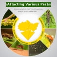 thumbnail image 4 of ACDANC Fruit Fly Traps Indoor Fungus Gnat Trap 48Pcs for Plants Yellow Houseplants Outdoor Use Insect Sticky, 4 of 9