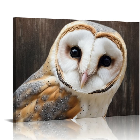 COMIO - Canvas Wall Art - Common Barn Owl (Tyto Albahead) Head Close Up - Gallery Wrap Modern Home Art