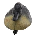 thumbnail image 6 of 3D Realistic Floating Duck Decoy Full Body Male Mallard for Garden Decoration and Photography Yellow, 6 of 9
