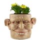 thumbnail image 5 of Cara humana creativa transfronteriza cabeza de fantasma expresión de horror divertida maceta de resina jardín escritorio suculenta planta verde adornos en maceta, 5 of 5