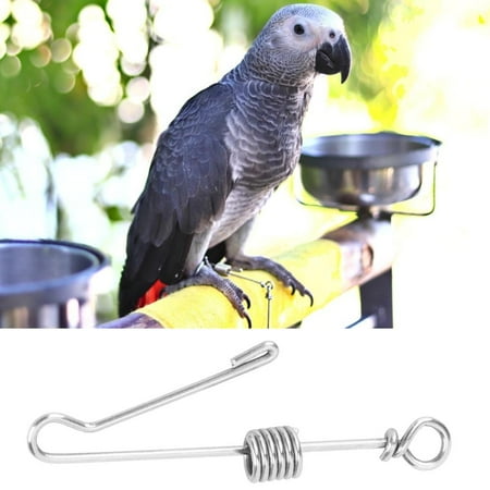 Tebru Bird Foot Ring,Pet Parrot Bird Anti Flying Training Stainless Steel Foot Chain Anklet Ring (Medium Size),Parrot Foot Ring