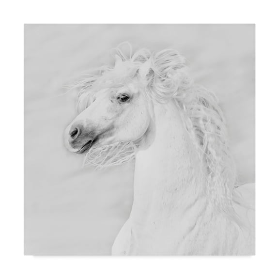Trademark Fine Art 'Black And White Horses III' Canvas Art by PHBurchett